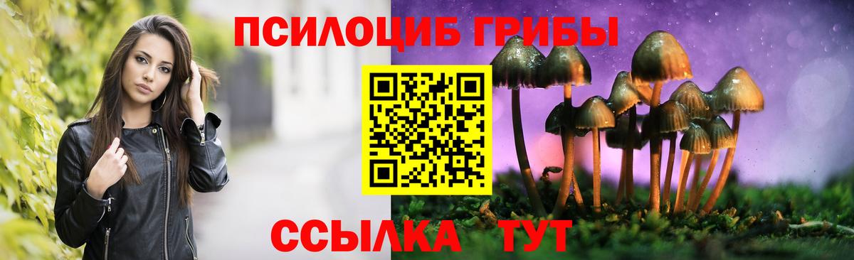 Кумертау  Галлюциногенные грибы Cubensis  Вход с VPN  Псилоцибиновые грибы Cubensis 